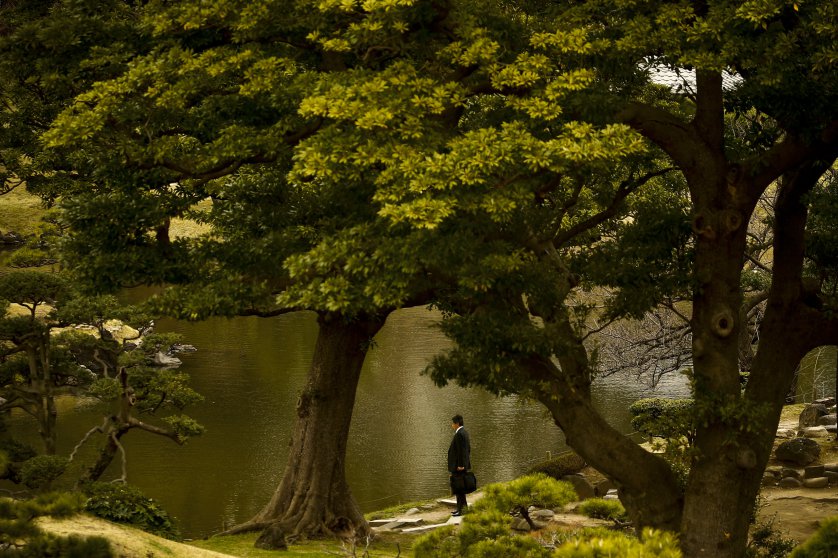A businessman stands at a pond in the Kyu-Shiba-rikyu Garden on a warm and sunny day in Tokyo