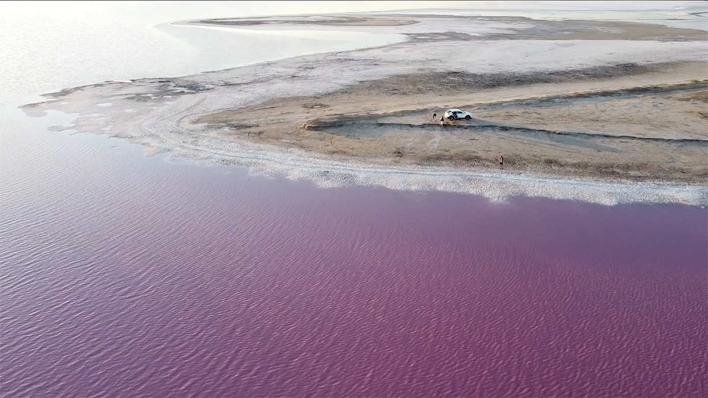 Розовое озеро украина