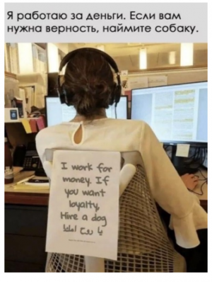 Мне очень понравилась эта фотография. На рабочем кресле девушки можно прочитать: «Я работаю за деньги. Если вам нужна верность – наймите собаку». 