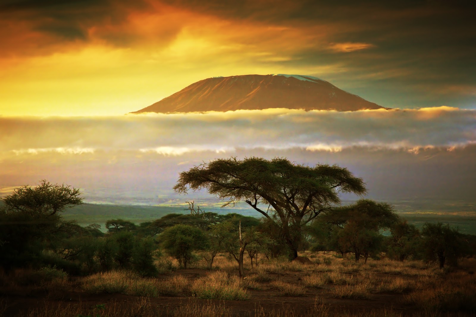Гора Килиманджаро, Танзания. Источник: Depositphotos