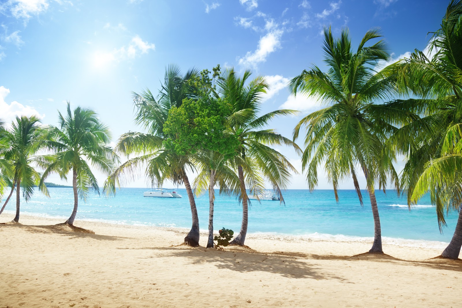 Пляж острова Каталина в Доминиканской Республике. Источник: Depositphotos