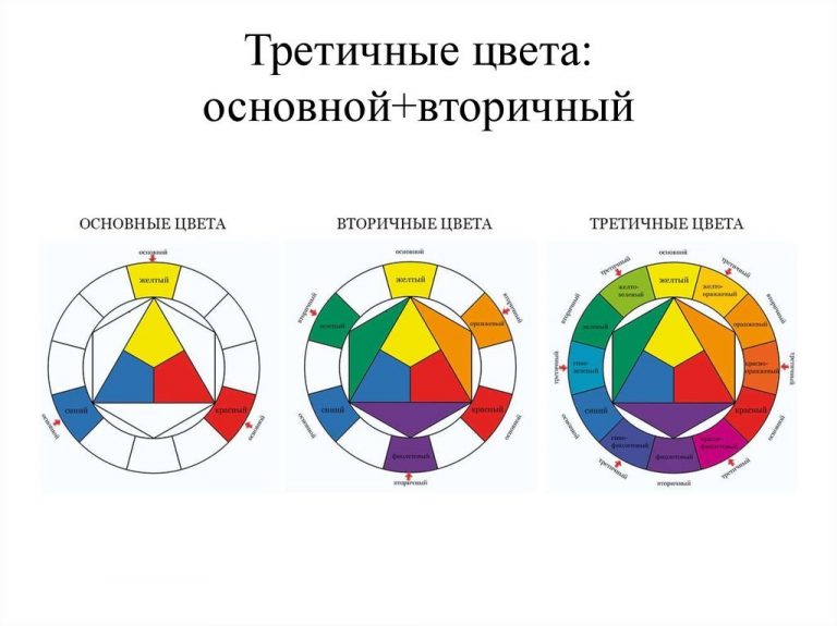 Цветовой круг Иттена: что это и как правильно сочетать цвета