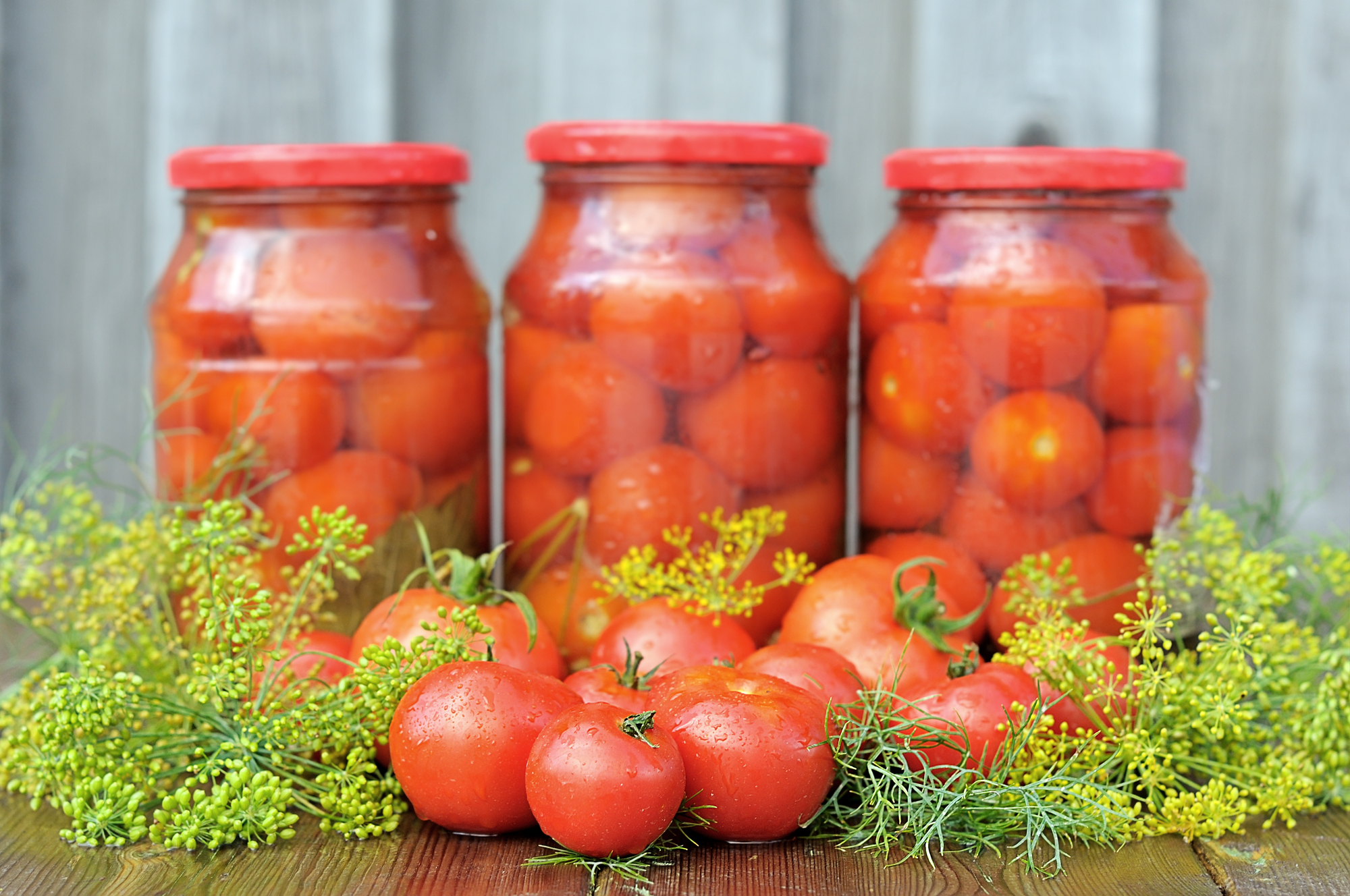 Очень вкусные маринованные помидоры. Pomidori marinad. Томат зимняя вишня f1. Помидоры на зиму. Зимние заготовки.