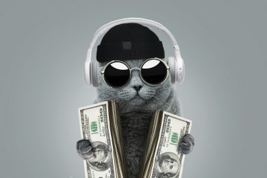 кот и доллары