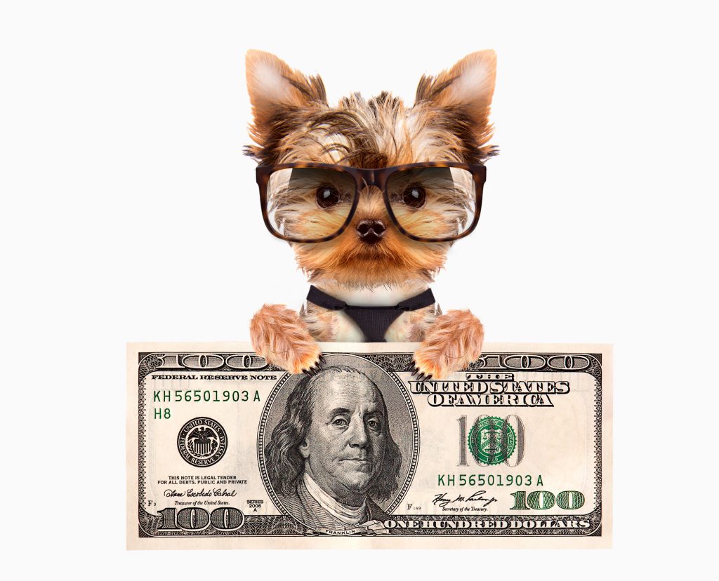 Собака и $100