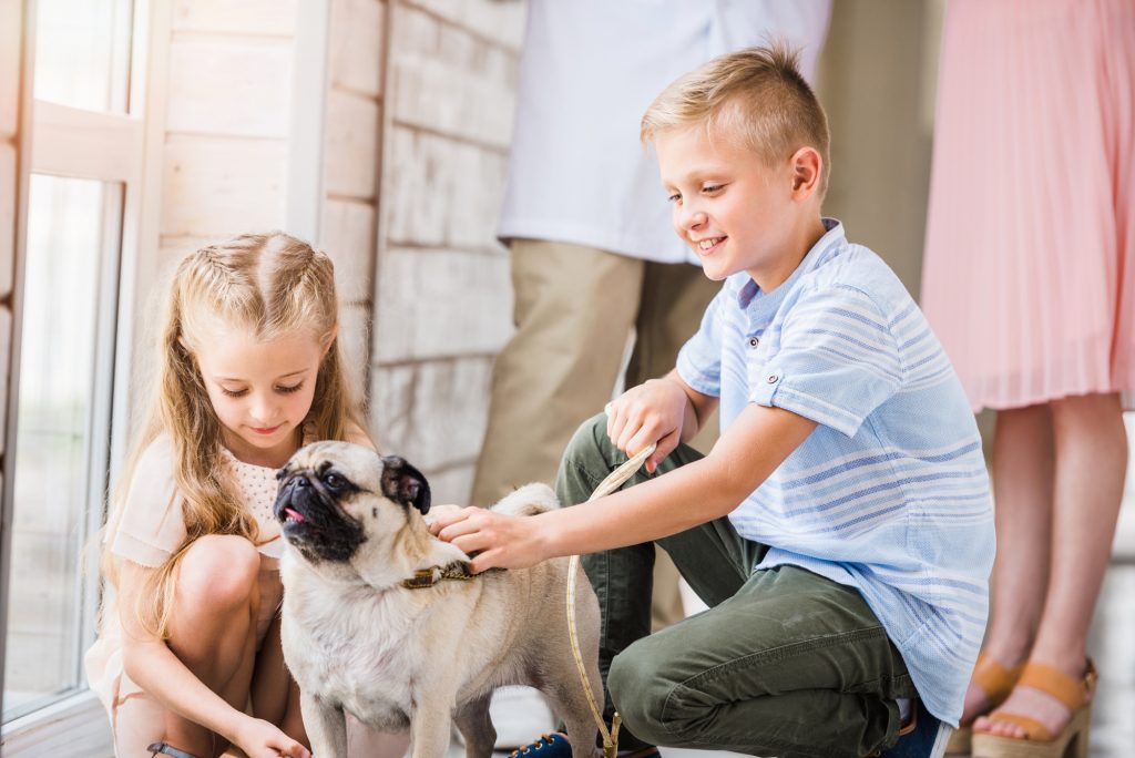Children dog refugees