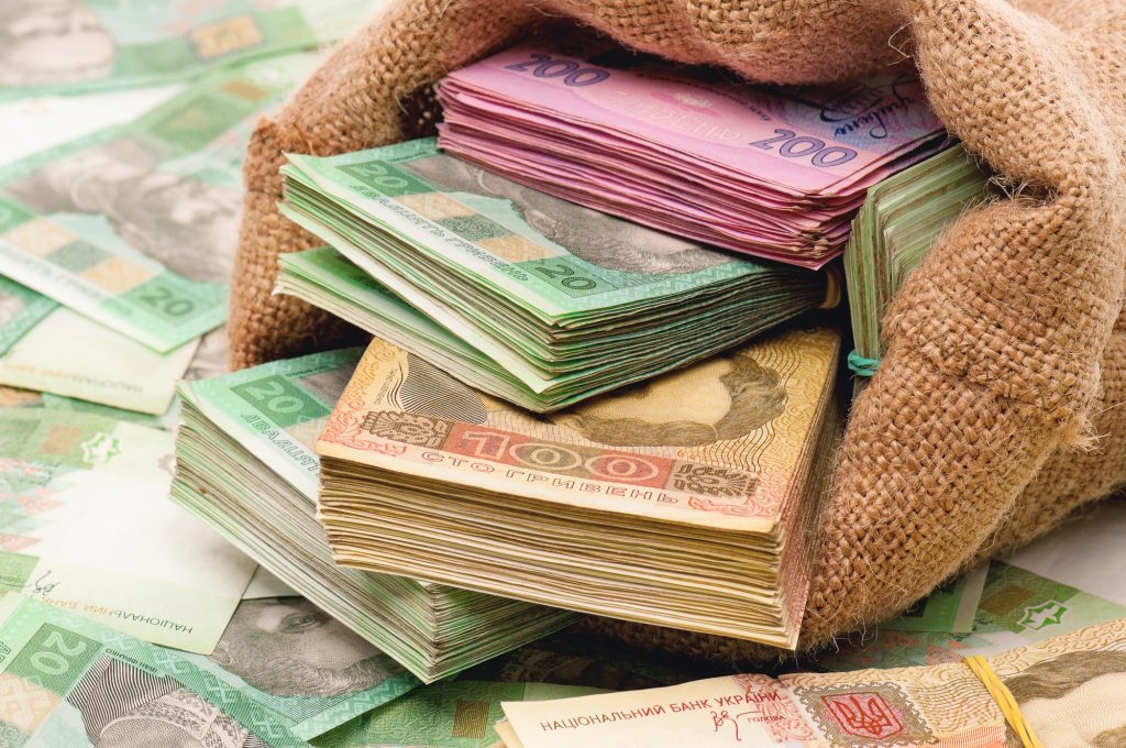 Money bag with hryvna