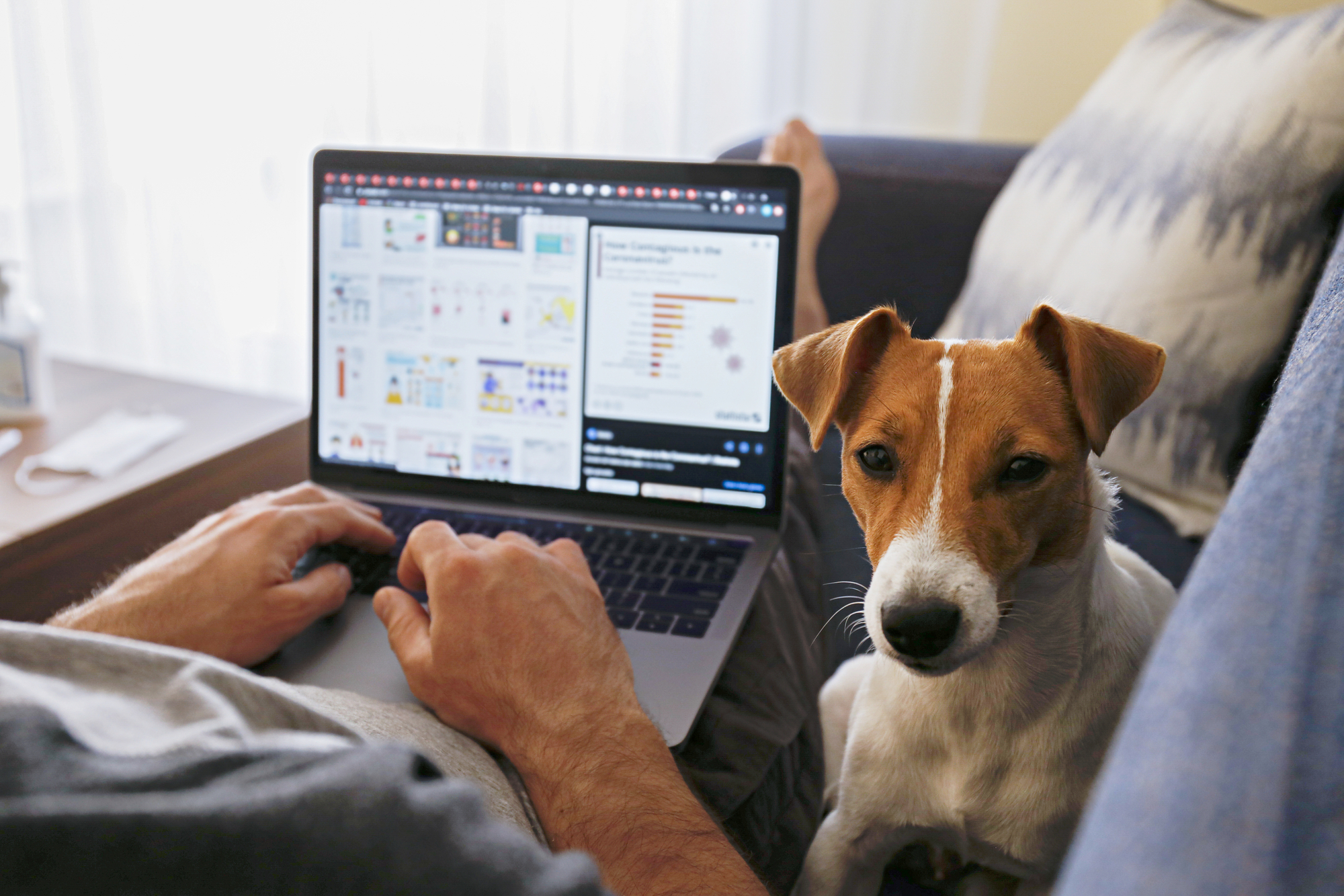 Close up shot of adult man working at home due to coronavirus quarantine concept. Male sitting on couch with his dog and laptop. Jack russell terrier puppy with owner. Background, copy space.