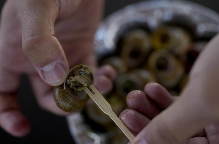 Слимаки Maxi Snail
