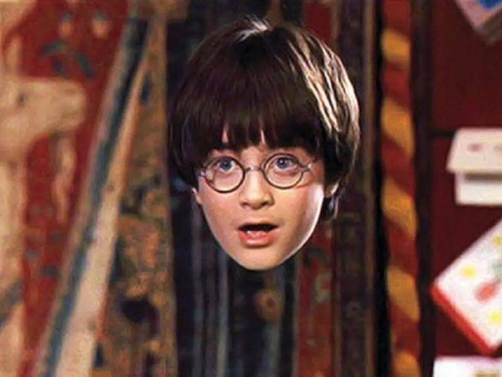 Harry Potter screenshot