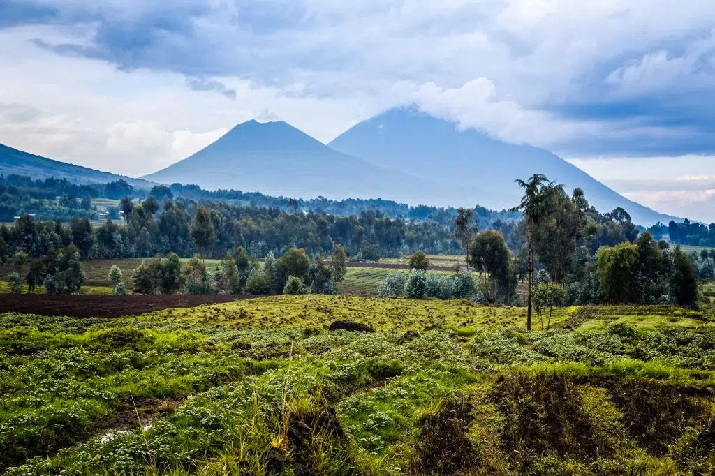 Virunga volcano national park landscape with green farmland fiel