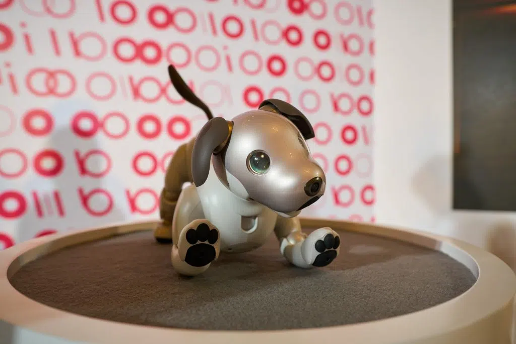 Sony's Aibo robot dog