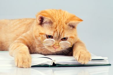 «Настоящие лидеры едят последними». 10 полезных книг о бизнесе, предпринимательстве и развитии