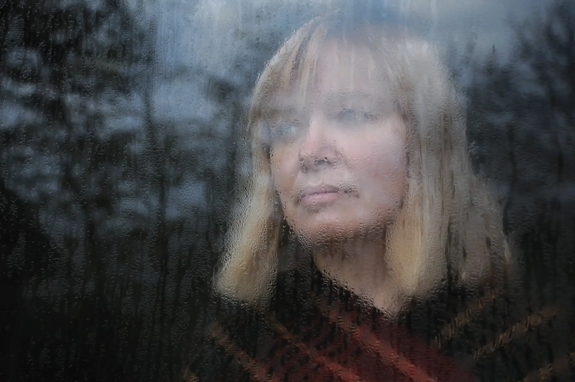 Portrait of Woman Through the Window
