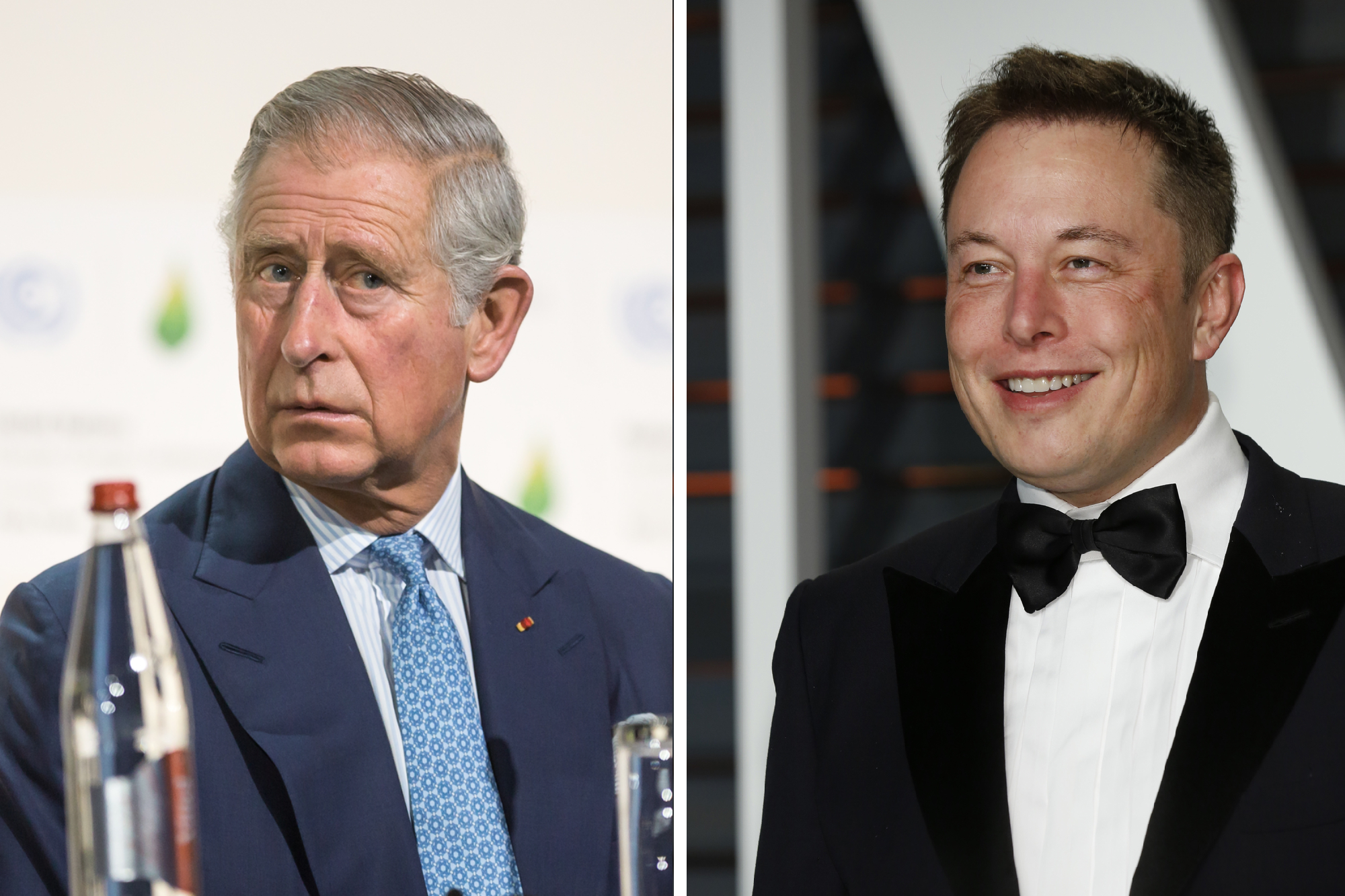 King Charles III, Elon Musc, collage