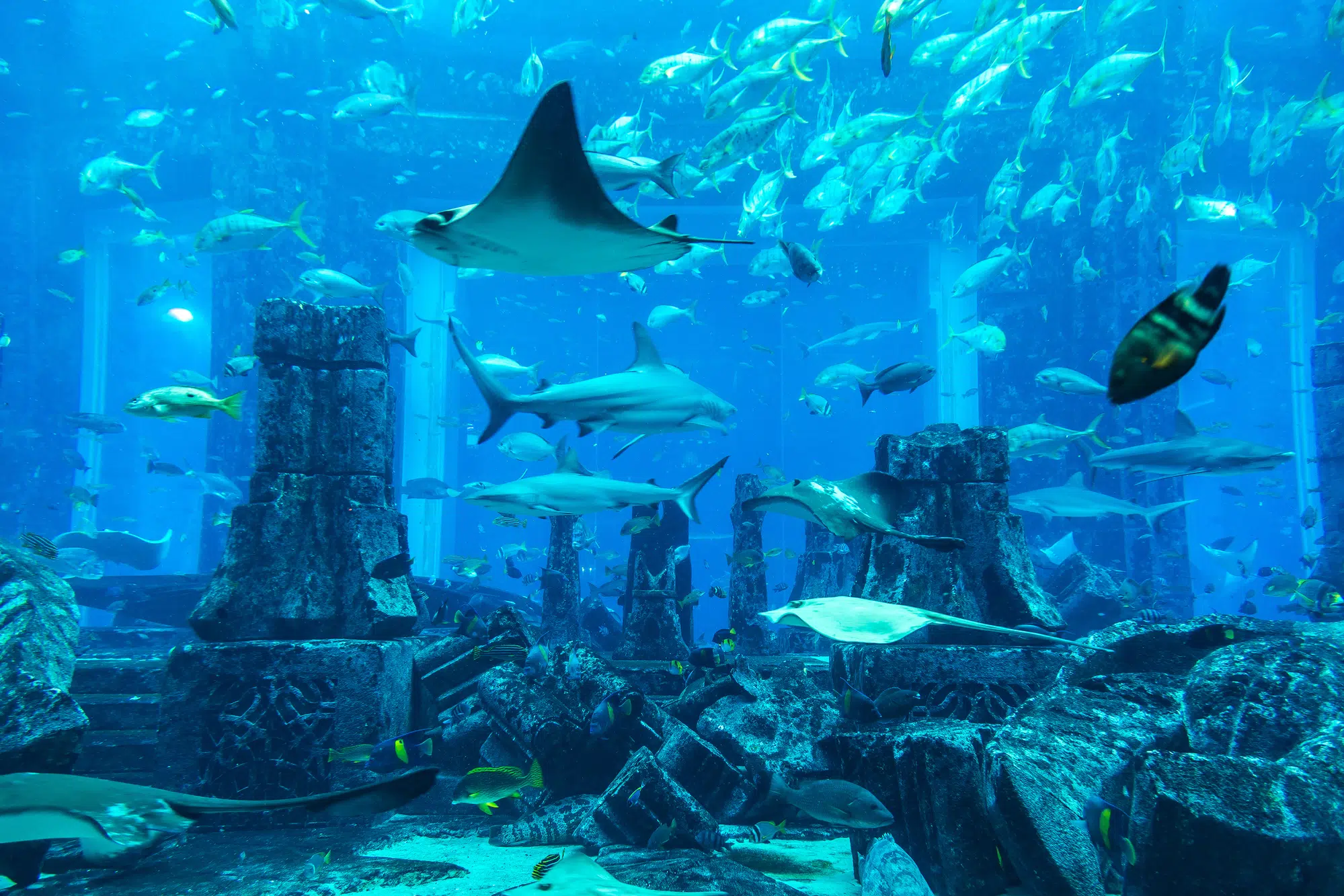 Aquarium in Hotel Atlantis in Duba