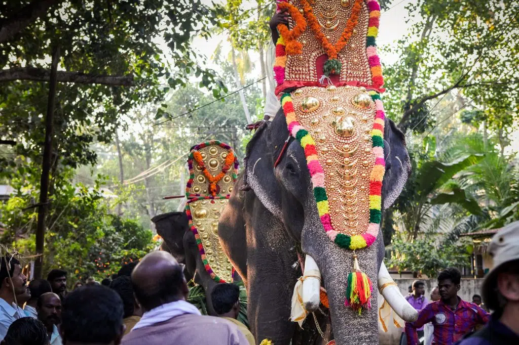 Kottayam, Kerala, INDIA - JANUARY 25, 2012: closeup view of decorated elephants walking by indian village on annual religion feast on January 25 in Kottayam