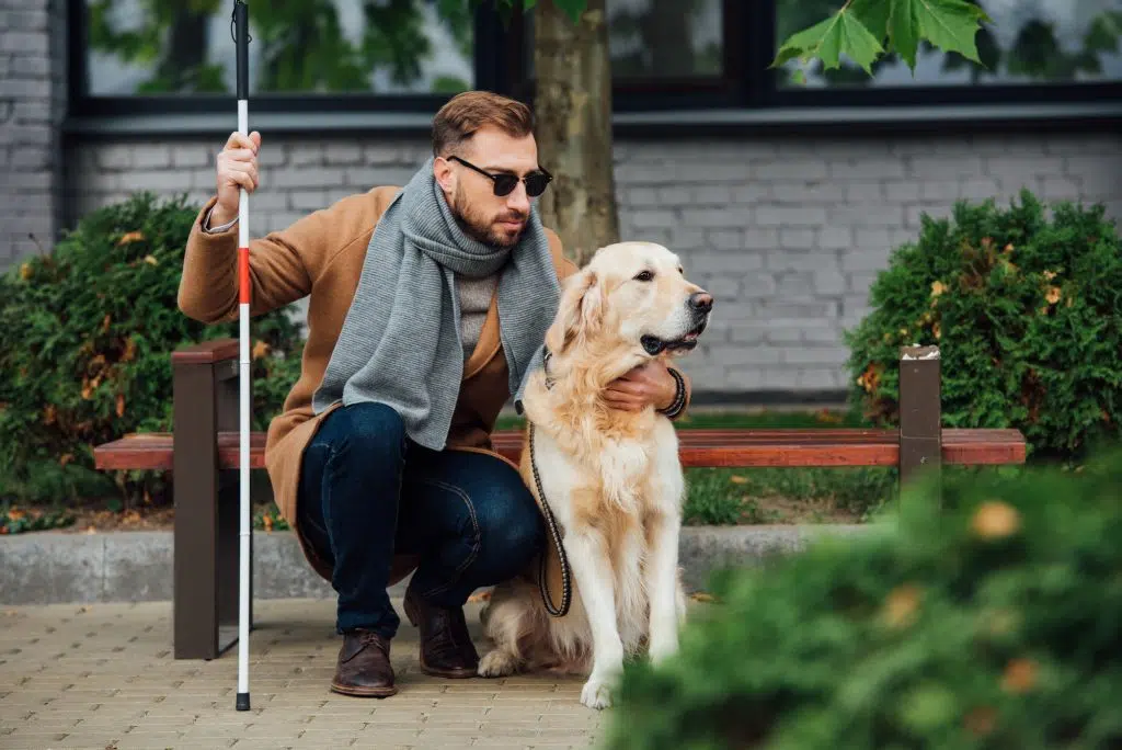 A blind man with a cane and a guide dog