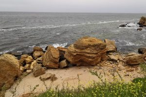 «Купатися чи не купатися?»: як готуються до літнього сезону в Одесі (або не готуються)