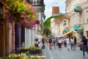 Работают на высадке деревьев, в отелях и на кухнях. Сколько зарабатывают украинцы в Литве и почему 34% из них хотят остаться в стране