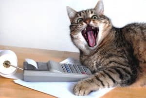 cat, calculator