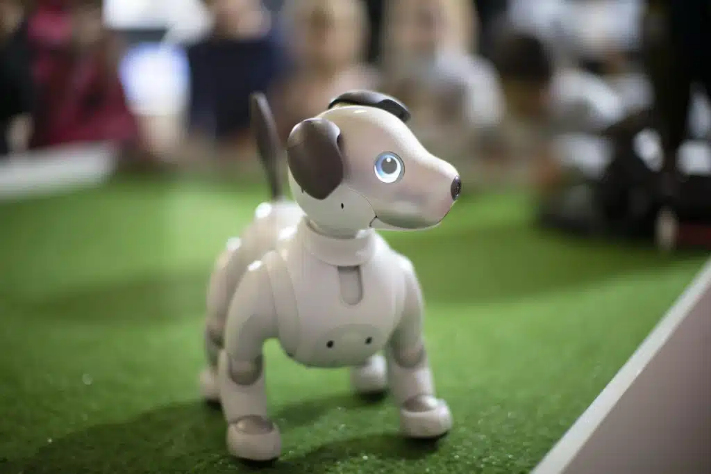 Robot dog stand on the green floor.