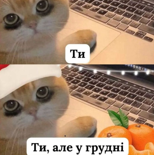 Меми, над якими сміялися українці у 2023-му. Скриншот: соцмережі