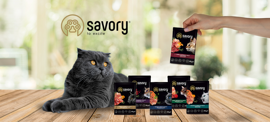 Реклама корму Savory