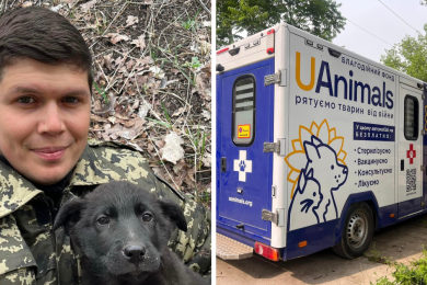 Олександр Тодорчук, засновник UAnimals