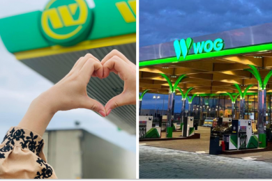 WOG, колаж