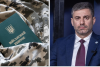 Військовий квиток, Дмитро Лубінець, колаж
