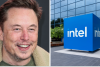 Ілон Маск, Intel, колаж