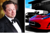 Ілон Маск, Tesla, колаж