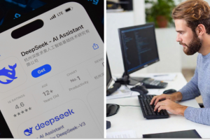 DeepSeek, програміст за роботою