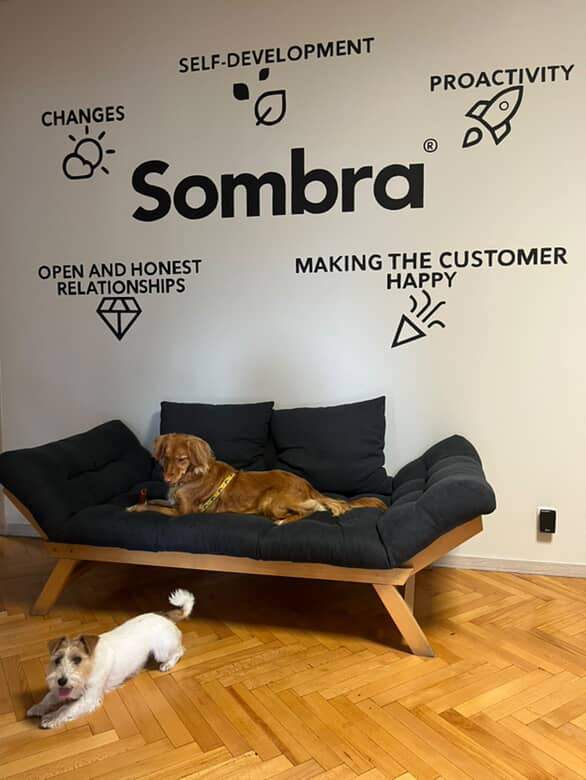 Фото: Sombra