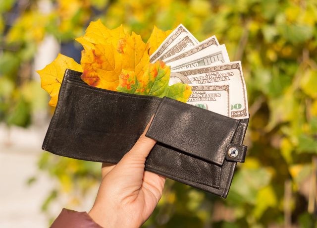 Банкір поділився прогнозом щодо курсу валют з 3 до 9 листопада. Фото: Depositphotos