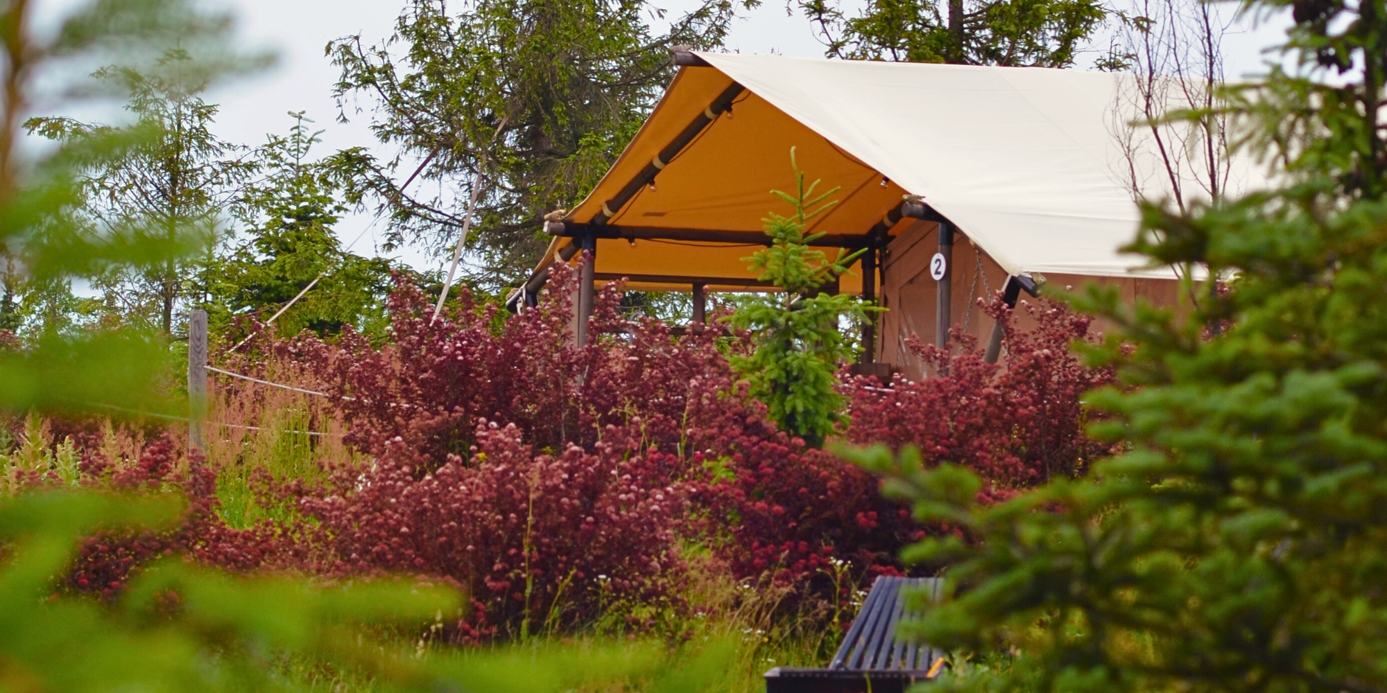 Фото Олександра Коновалова