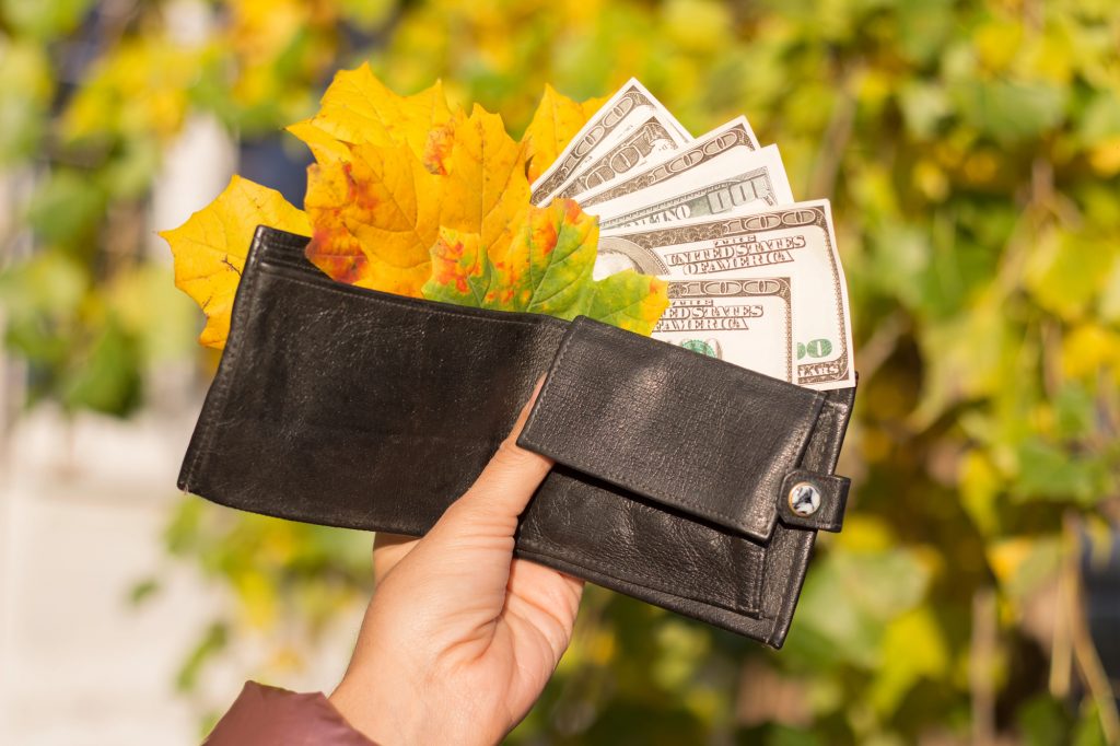 Прогноз курсу валют на 17-23 листопада. Фото: Depositphotos