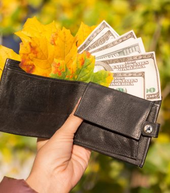 Прогноз курсу валют на 17-23 листопада. Фото: Depositphotos