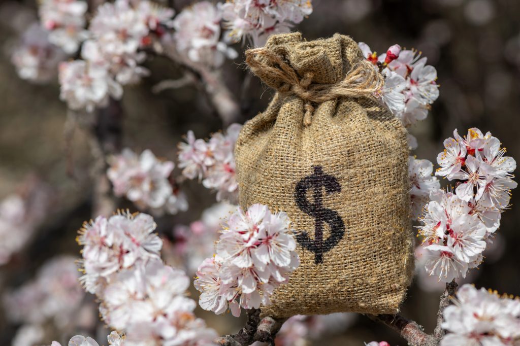 Гроші, фотоконцепт